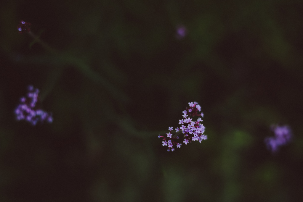 Johan Barrett by Babes in Boyland