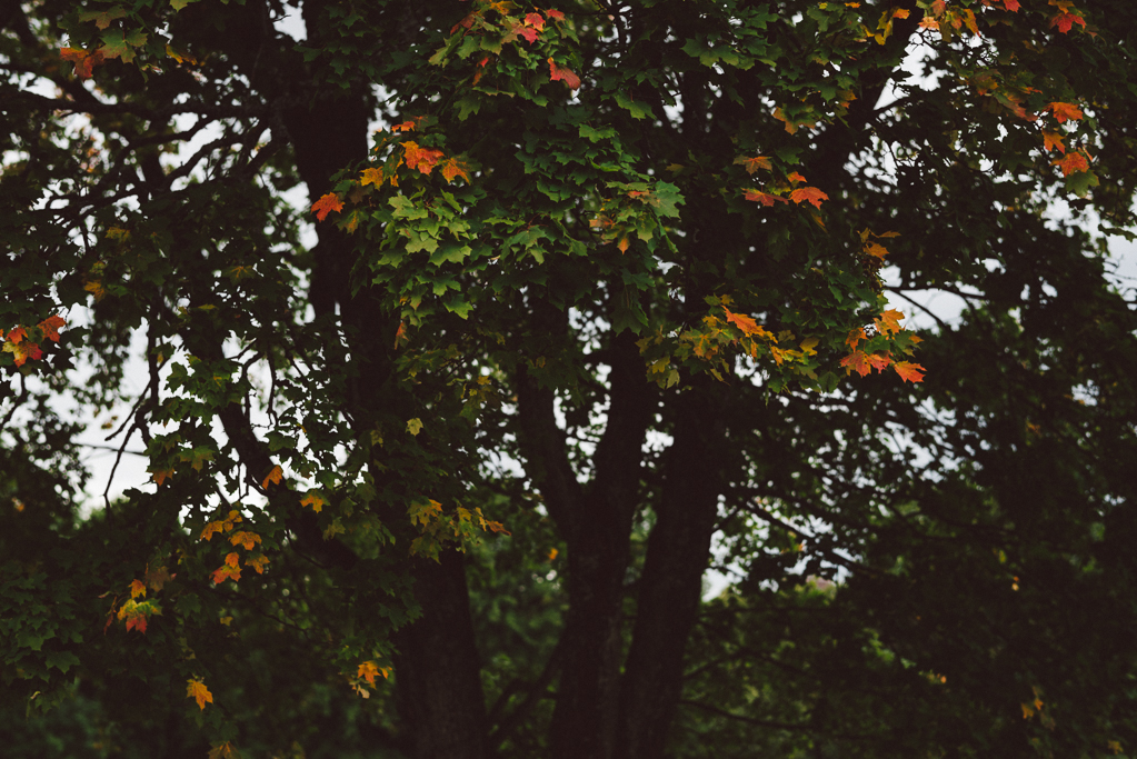 Autumn by Babes in Boyland