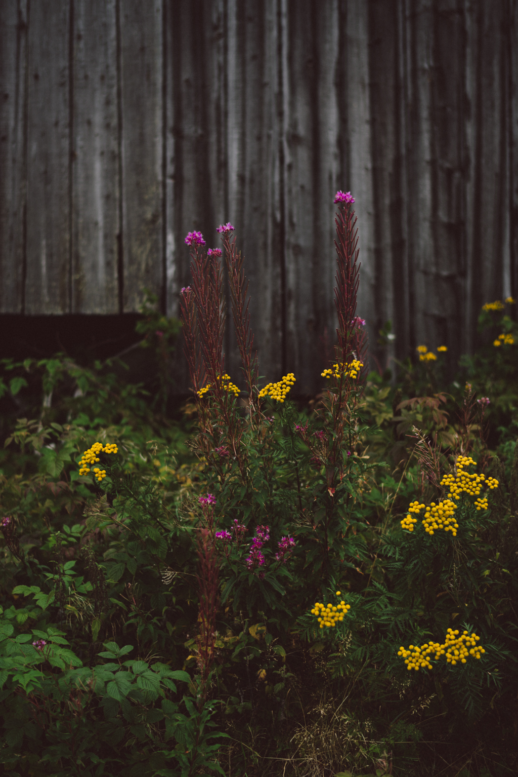 Dalarna, Sweden by Babes in Boyland