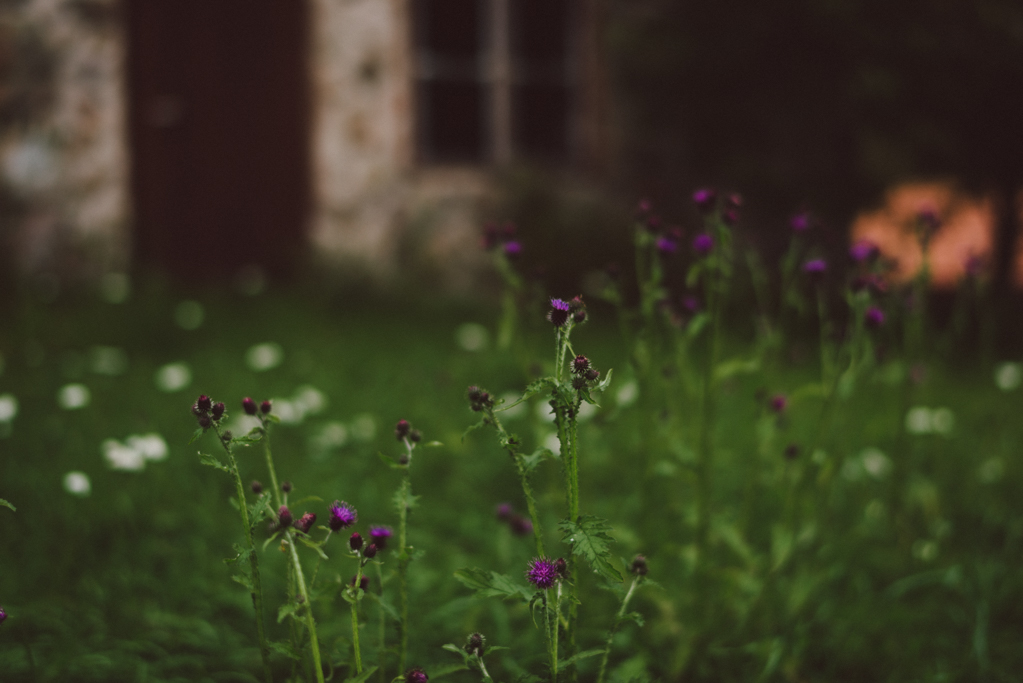 Dalarna, Sweden by Babes in Boyland