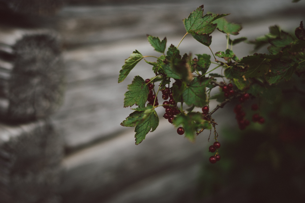 Dalarna, Sweden by Babes in Boyland