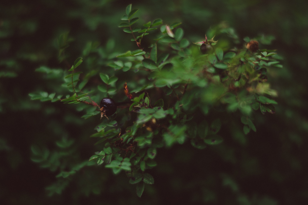 Dalarna, Sweden by Babes in Boyland