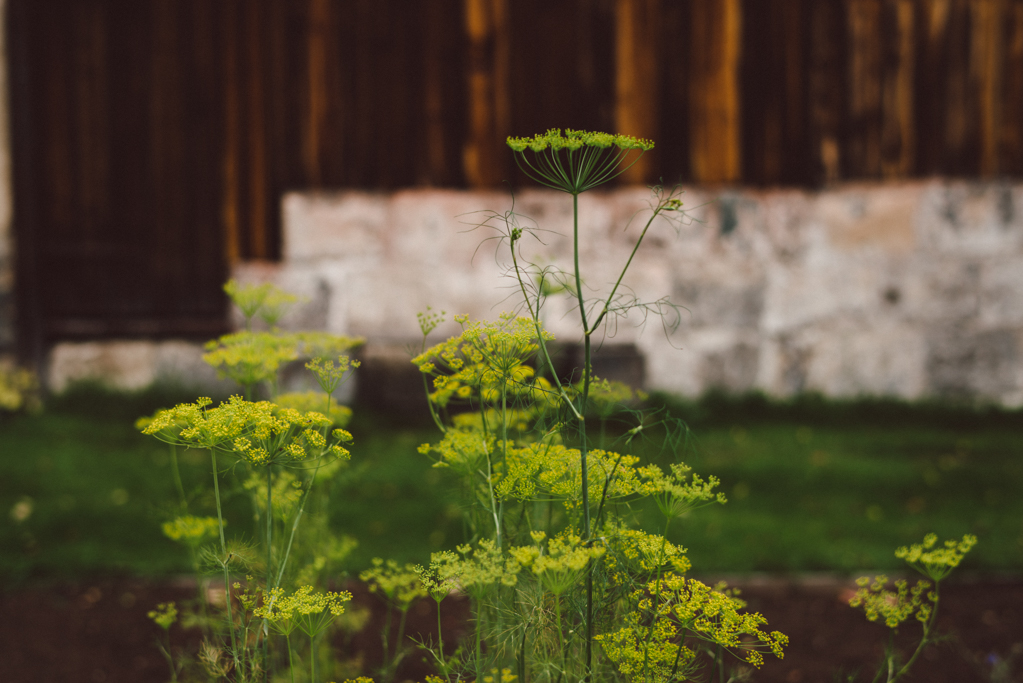 Dalarna, Sweden by Babes in Boyland