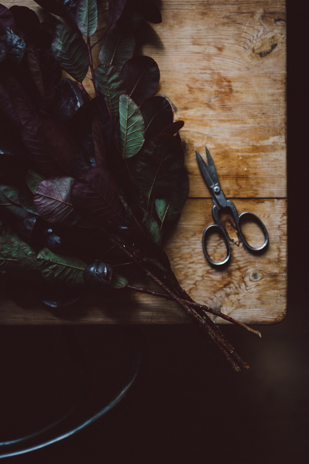Lettering with Sandberg by Babes in Boyland