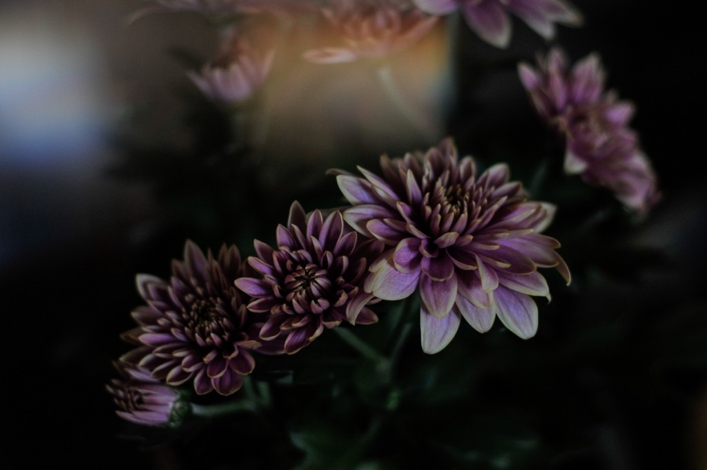 _TML6035