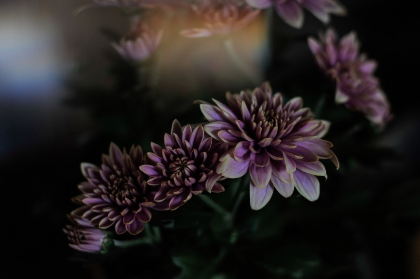 _TML6035