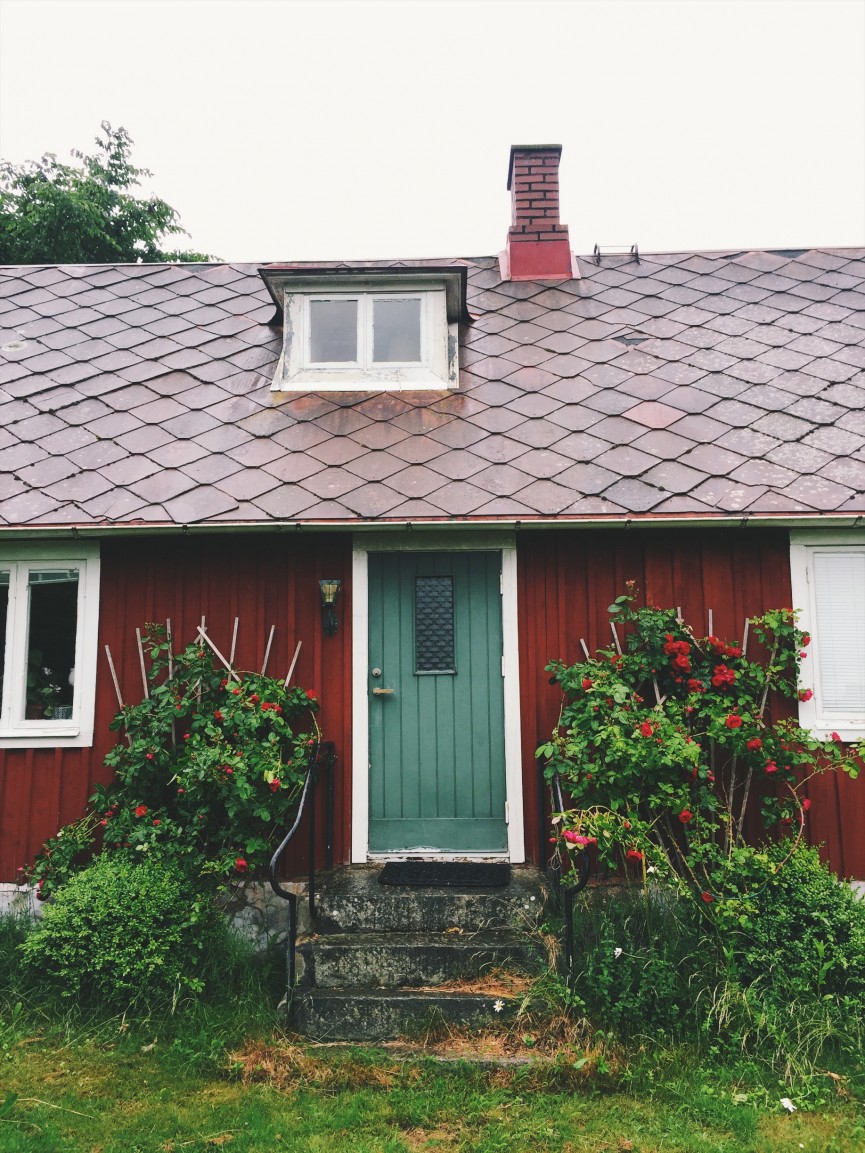 Allt det vilda (blommorna, insidan och hennes hår) 2 Processed with VSCO with f1 preset