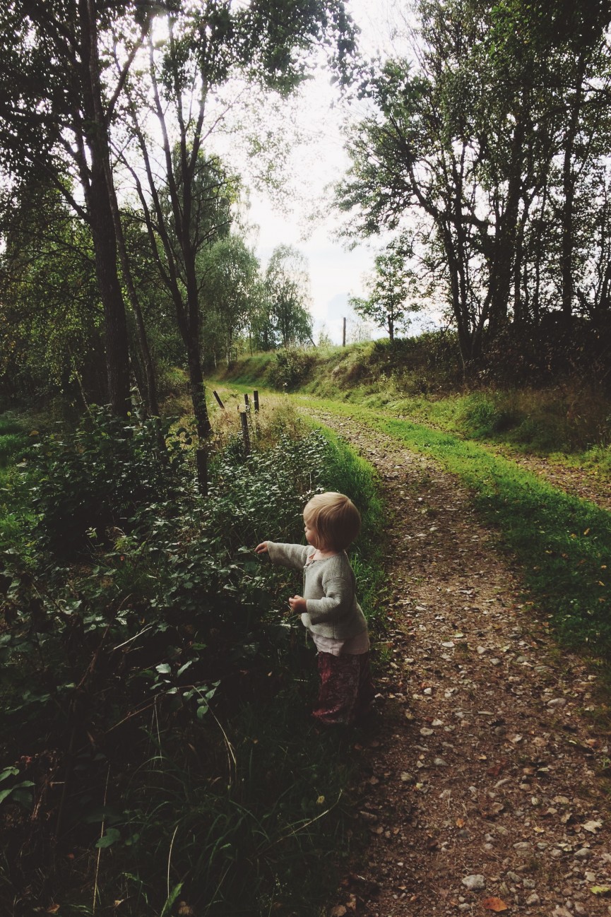 Processed with VSCO with f3 preset