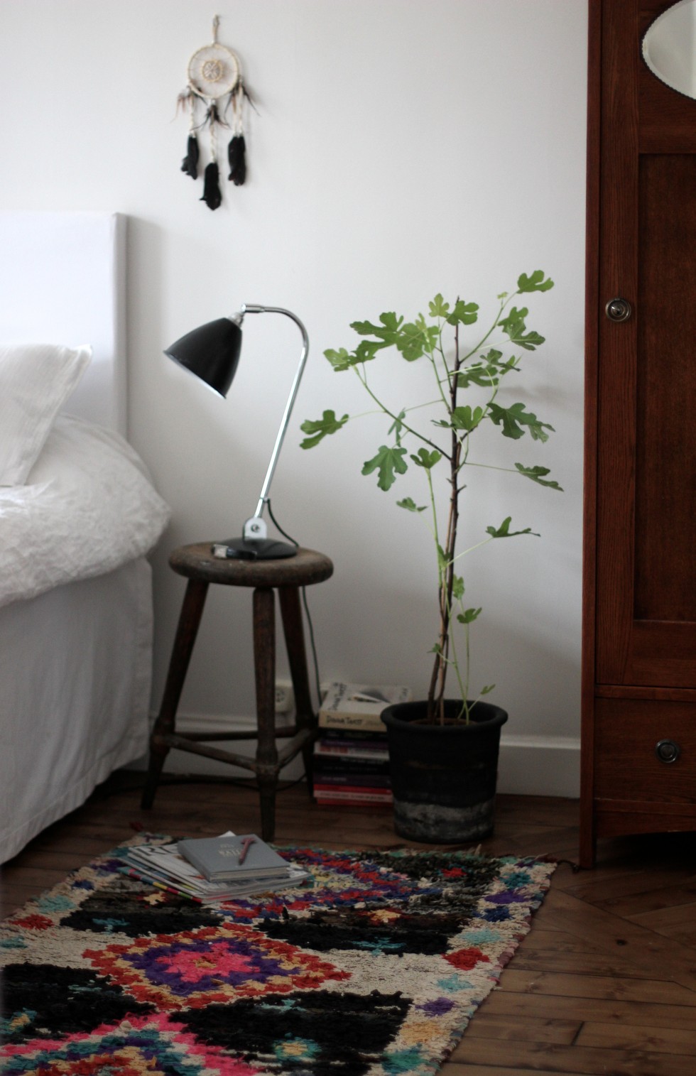 17doorsfigtree