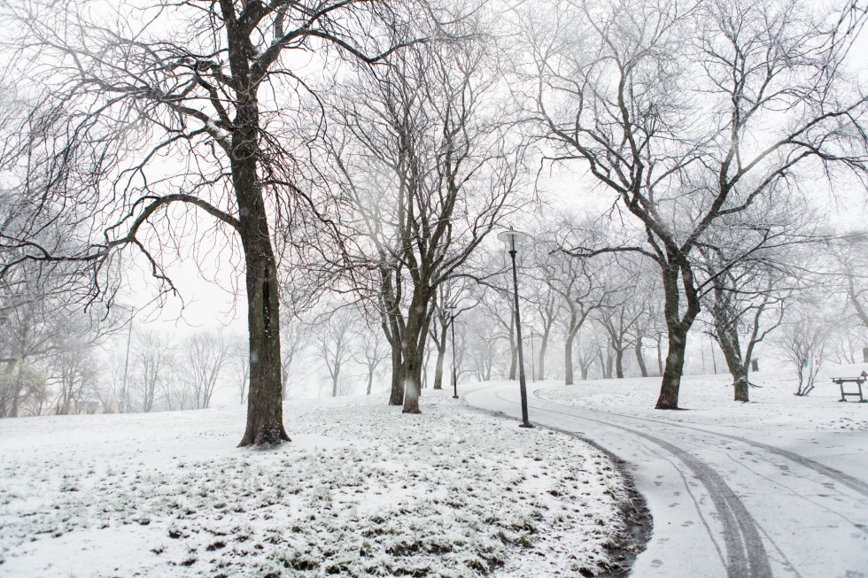 SFDB5AC24AD29C34472BED089893D07A735_2200x