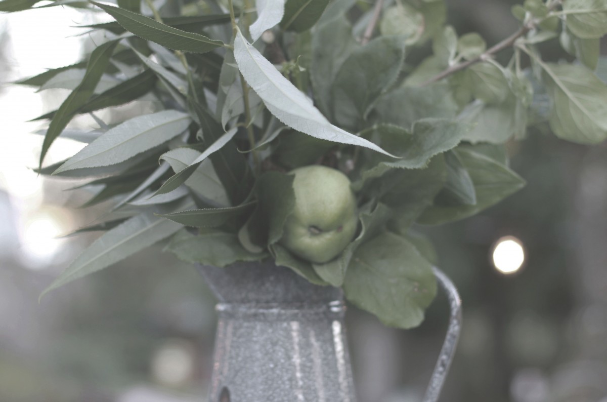 strenghielm_augustevening.3