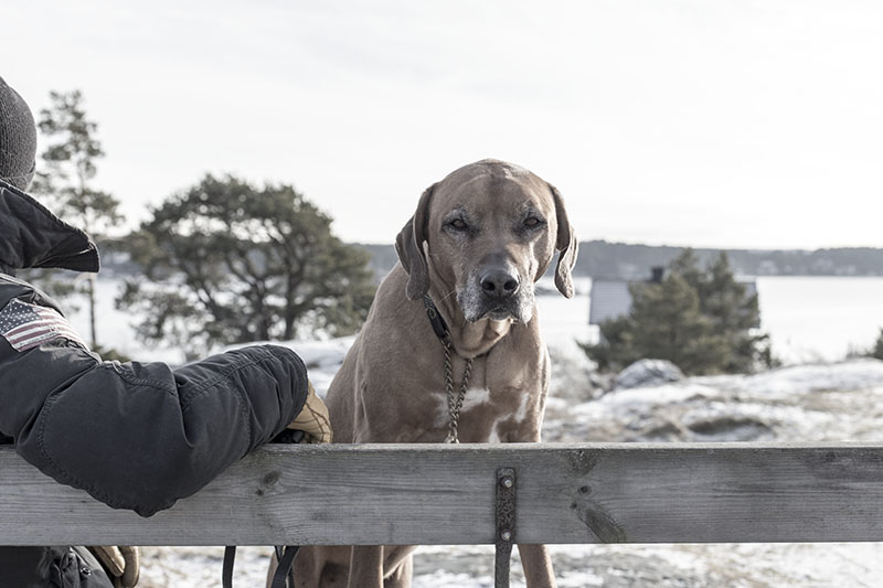 strenghielm_valentineswalk.10