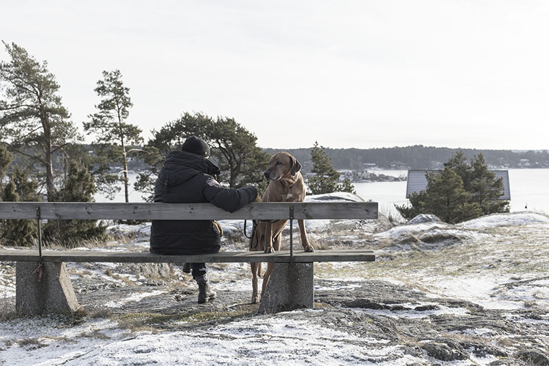 strenghielm_valentineswalk.9