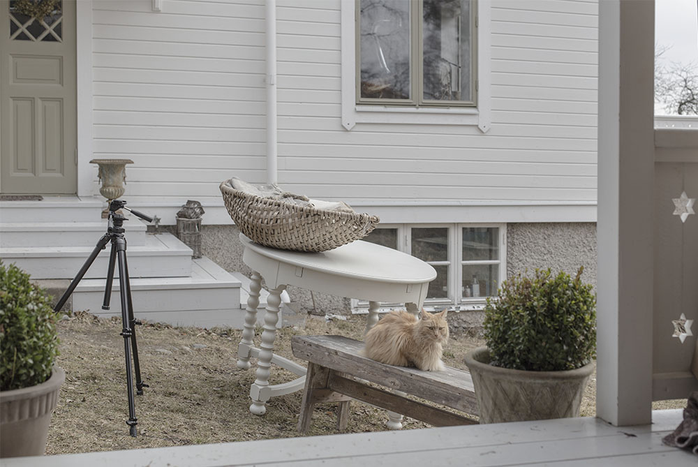 strenghielm_photoshoot.2