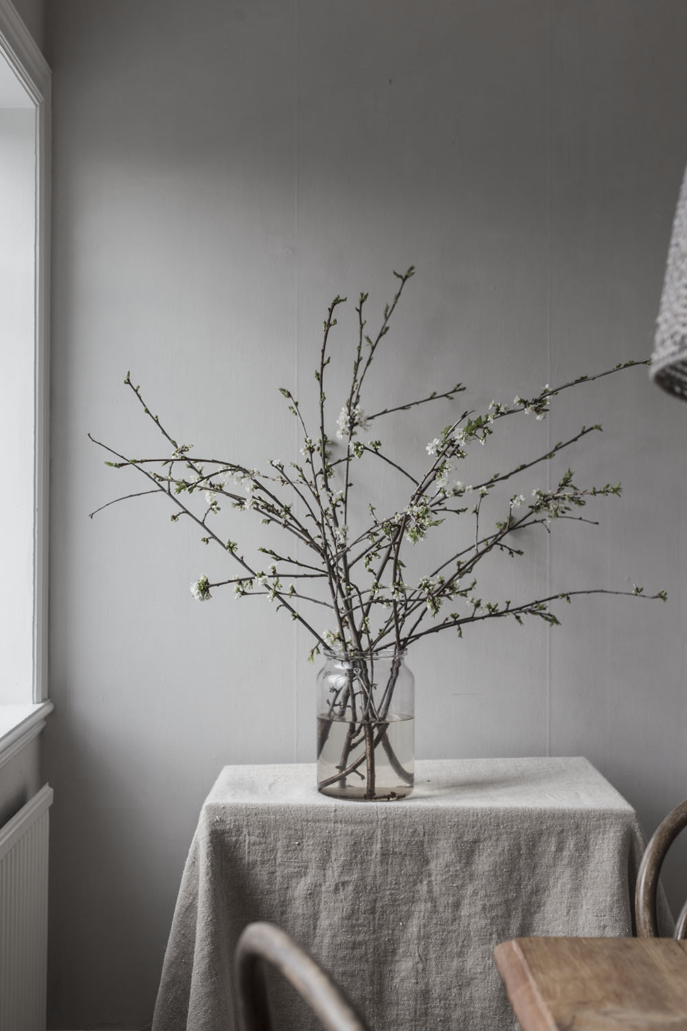 strenghielm_blossom.2