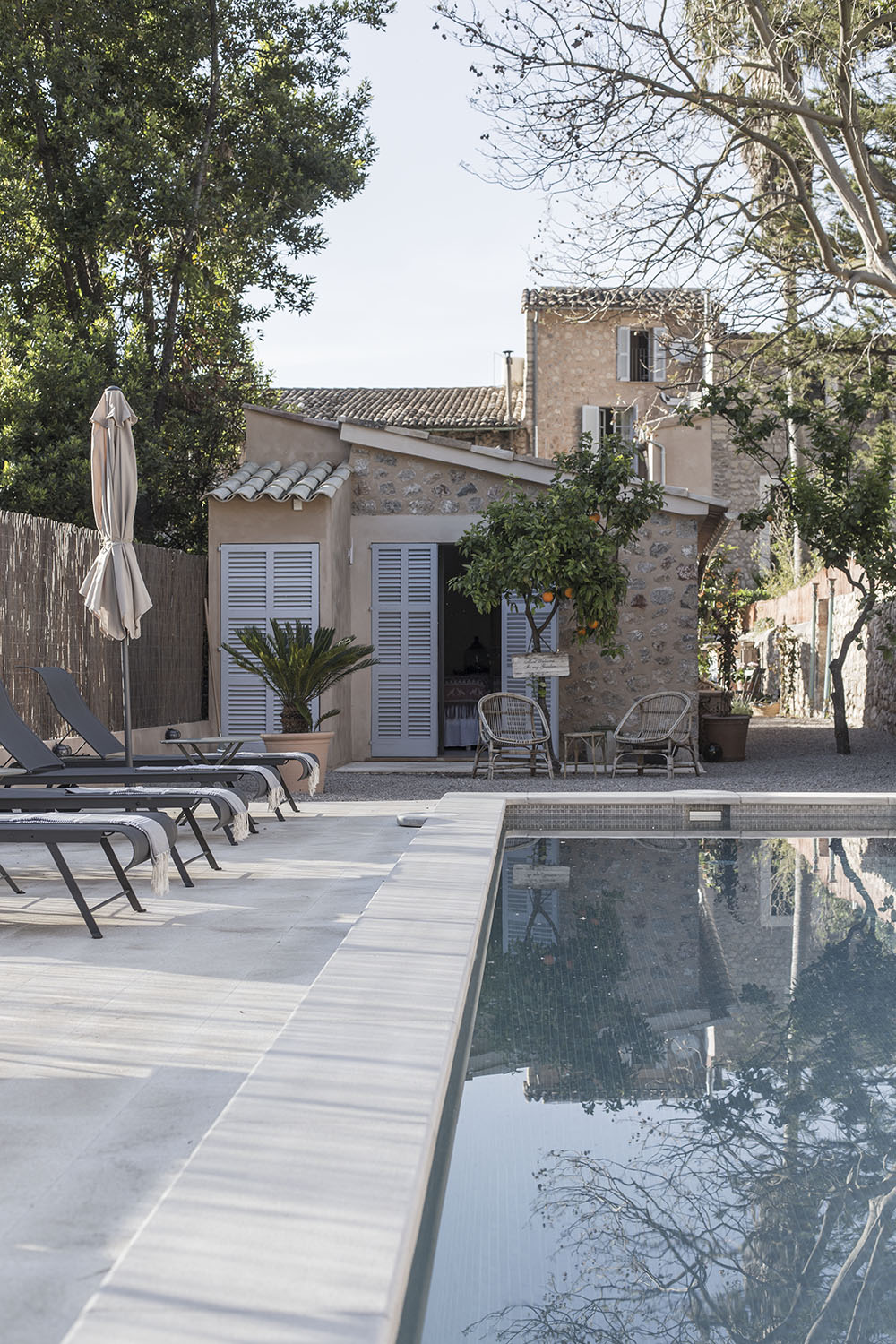 strenghielm_firstsoller.3