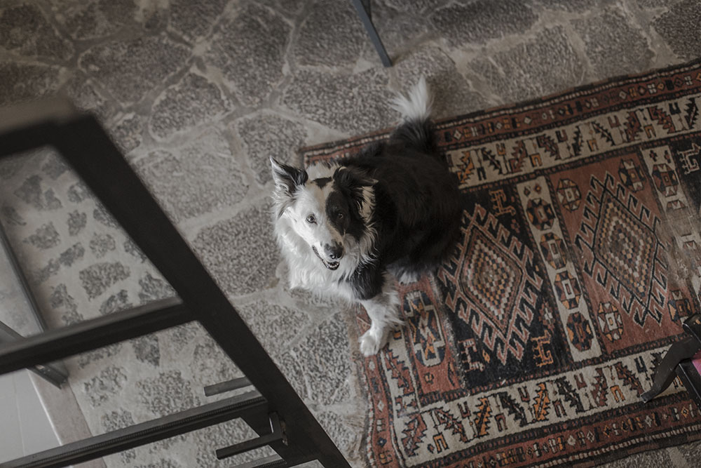 strenghielm_sollerbb.10