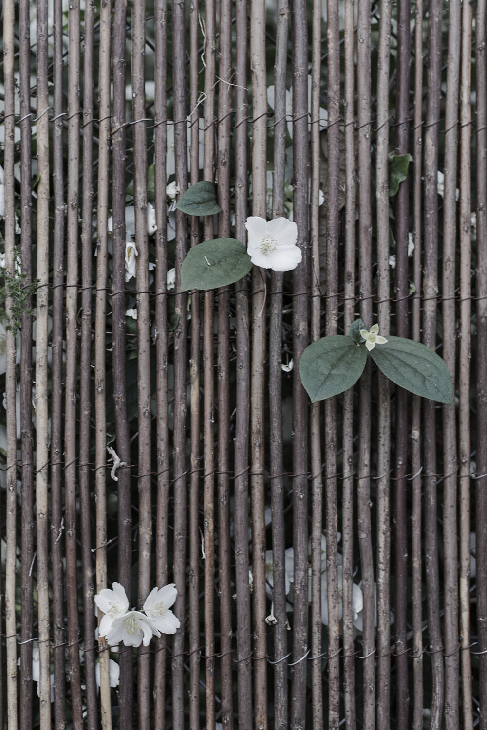 strenghielm_sollerbb.18