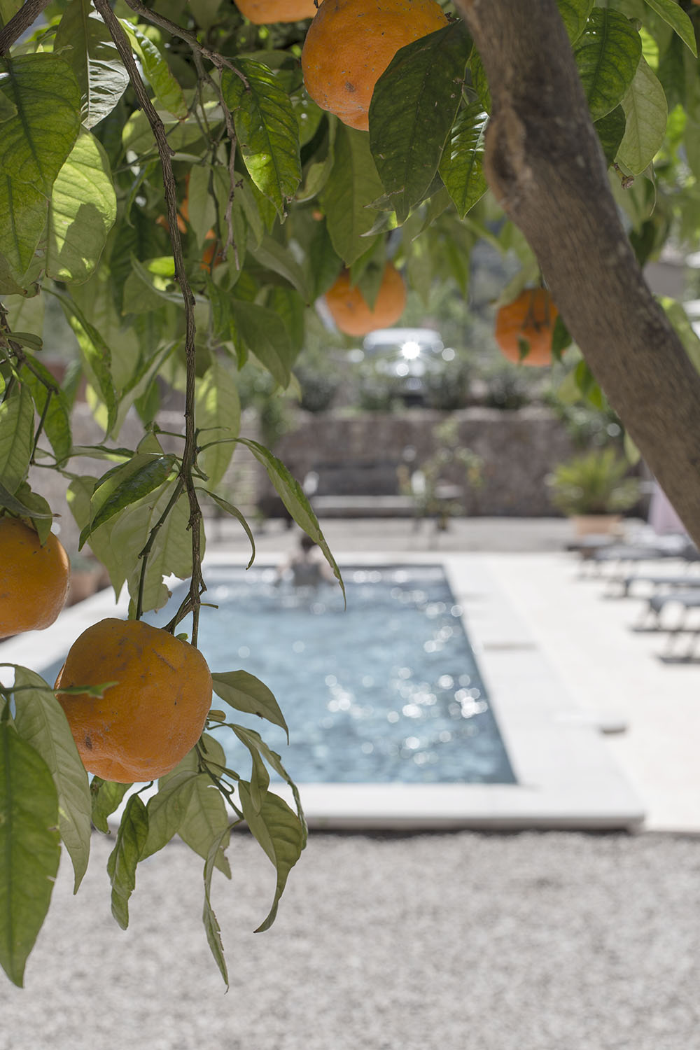 strenghielm_sollerbb.27