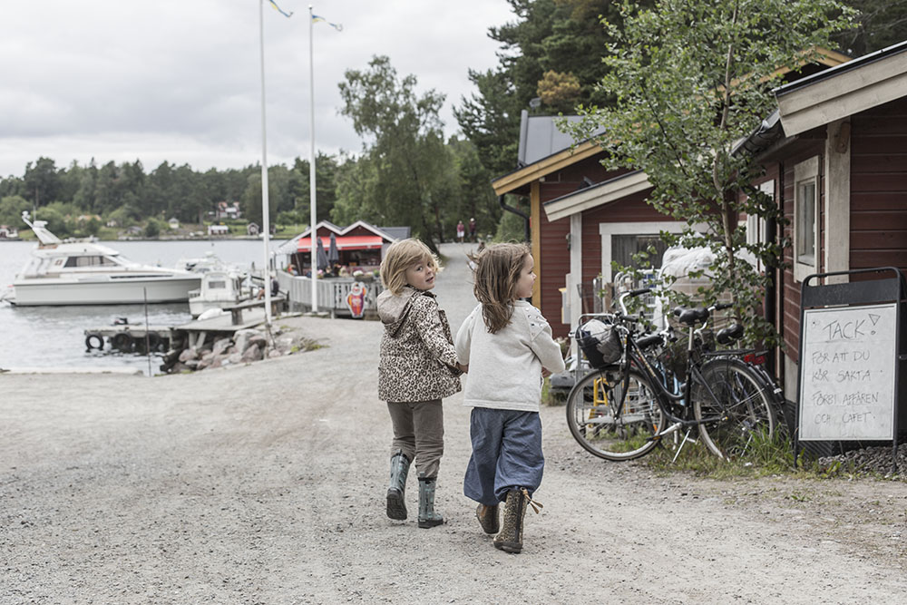 strenghielm_svartso.1