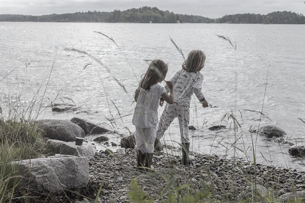 strenghielm_svartso.19