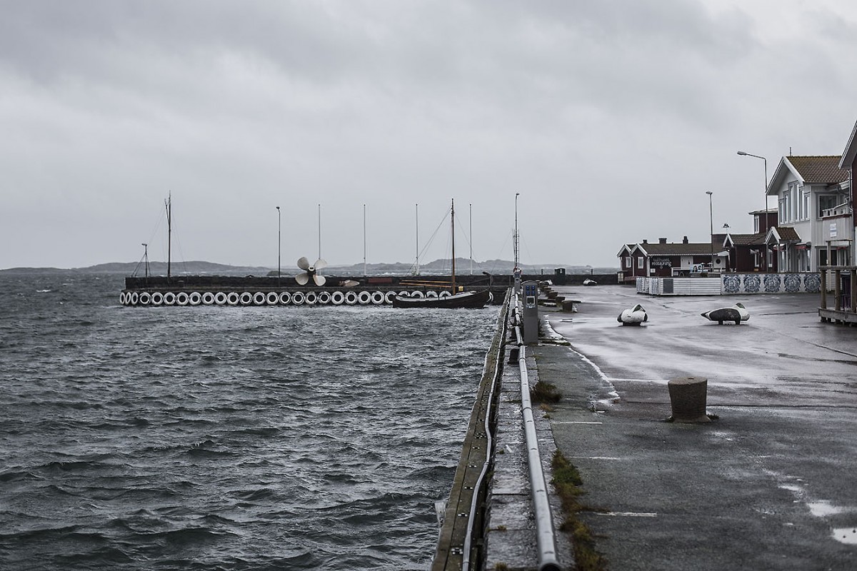 strenghielm_behind.4