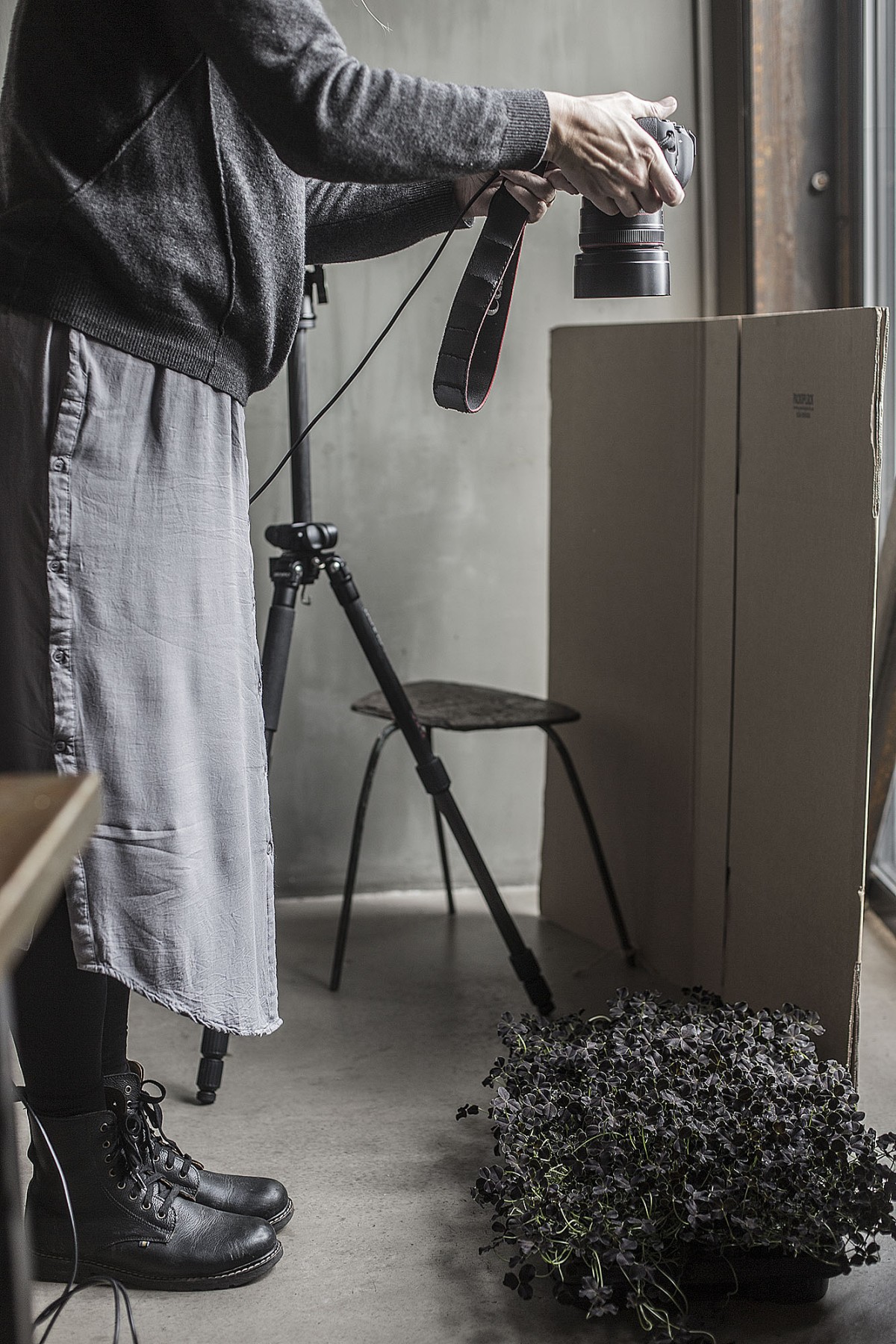 strenghielm_behind.9