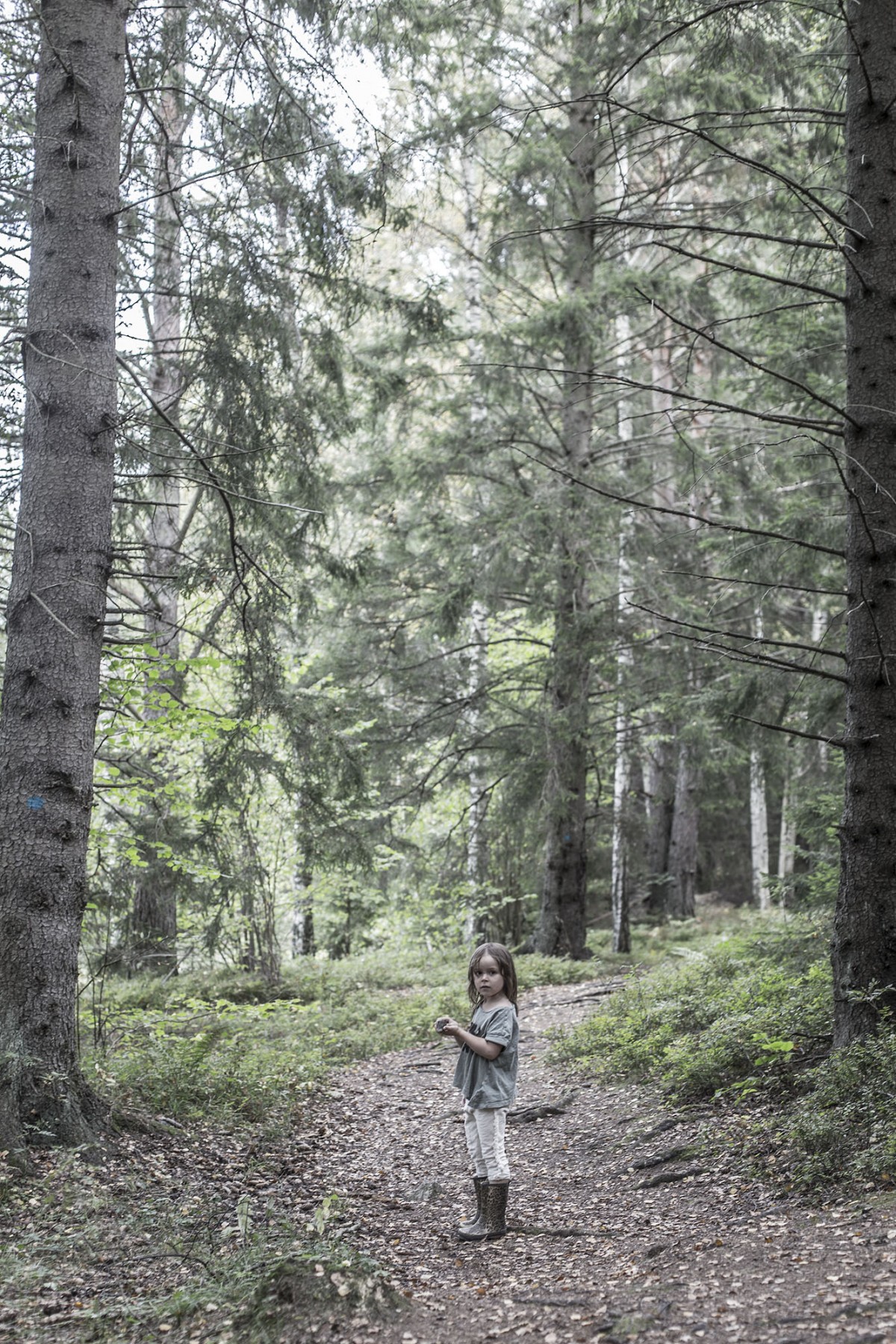 strenghielm_bythesea.11