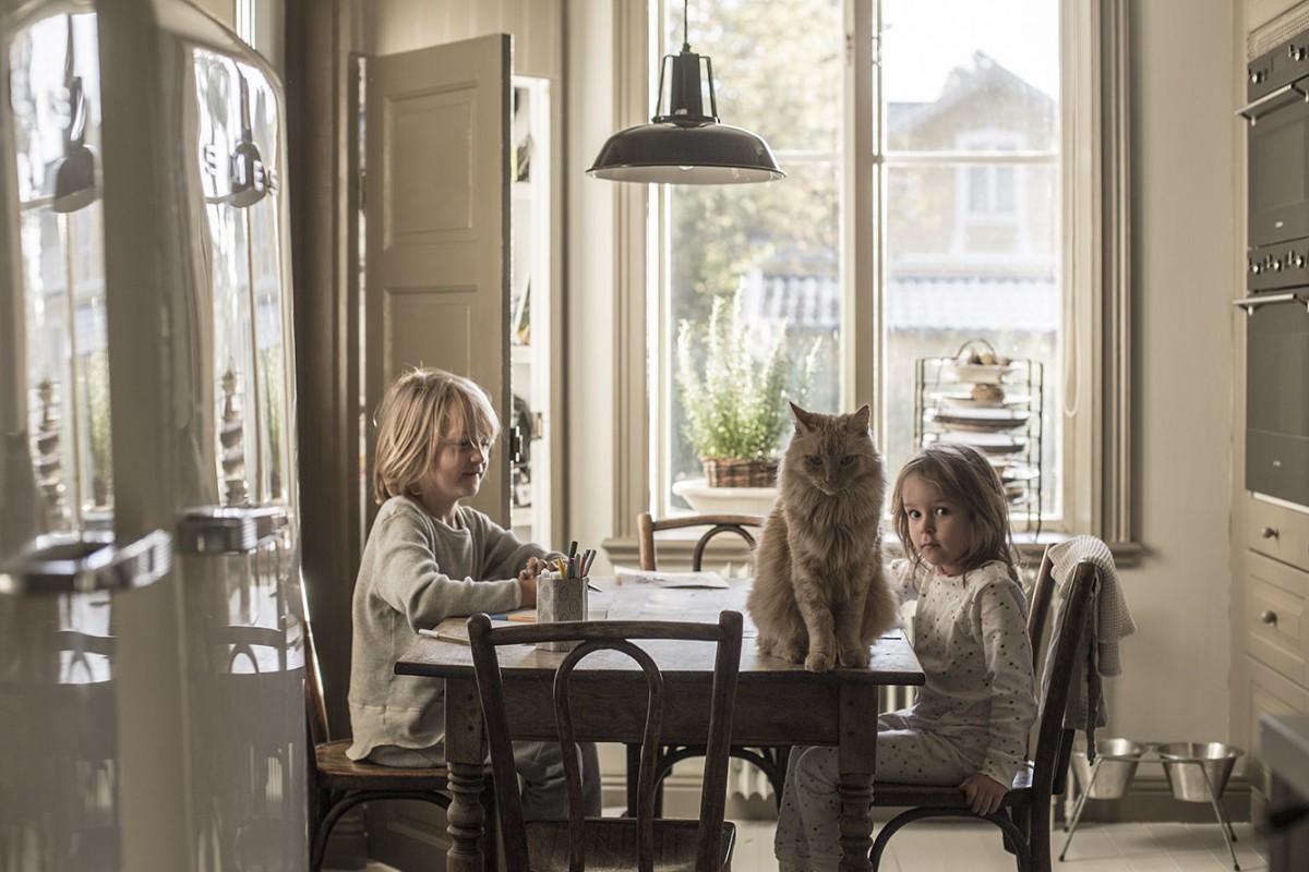 strenghielm_sundayfunday.2