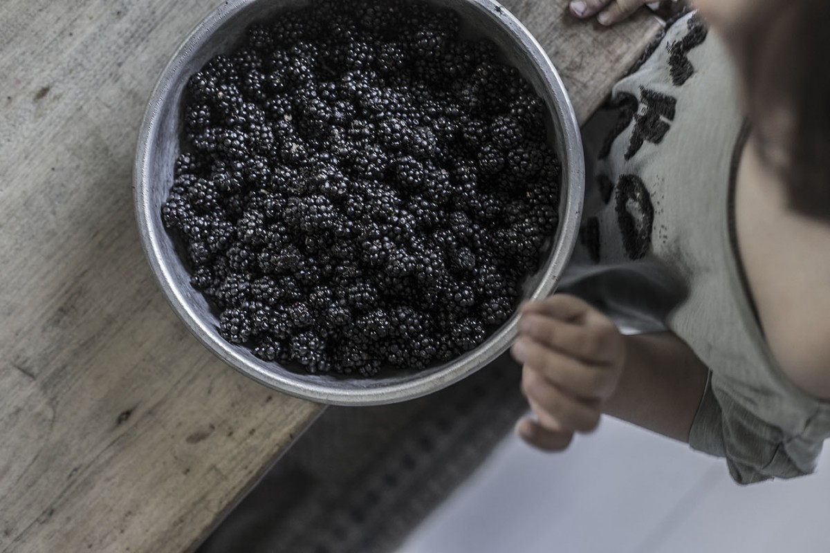 strenghielm_sundayfunday.6