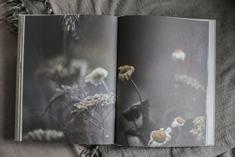 strenghielm_zetas_bok.3