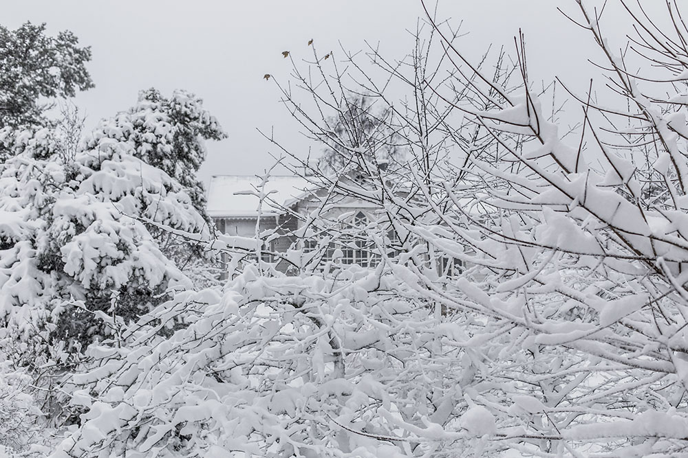 strenghielm_vinter.4