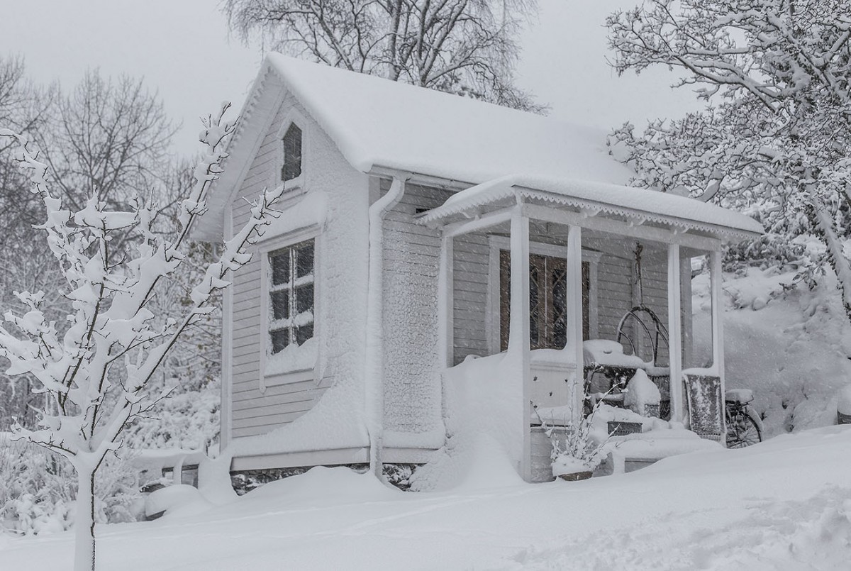 strenghielm_winter.1