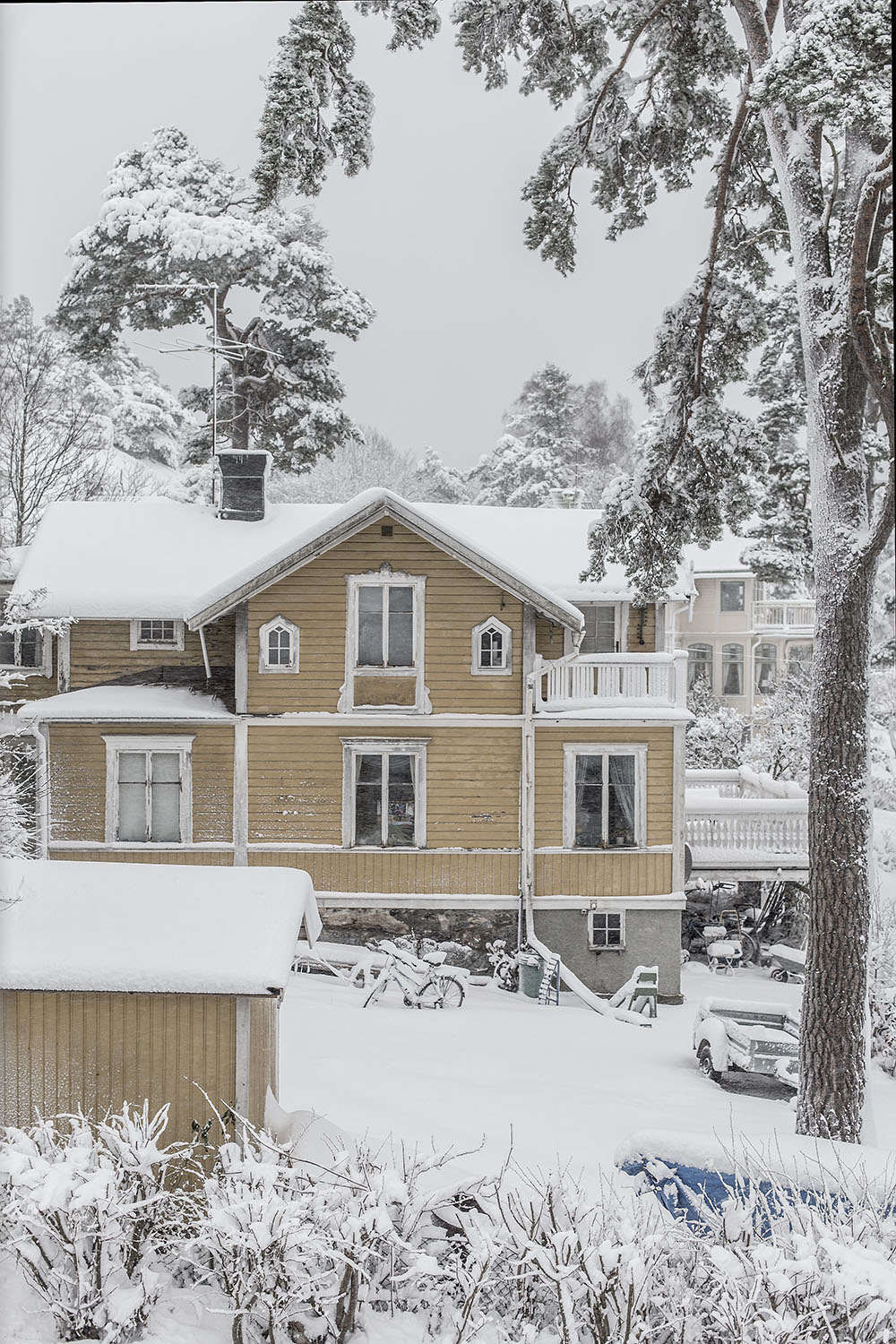 strenghielm_winter.6