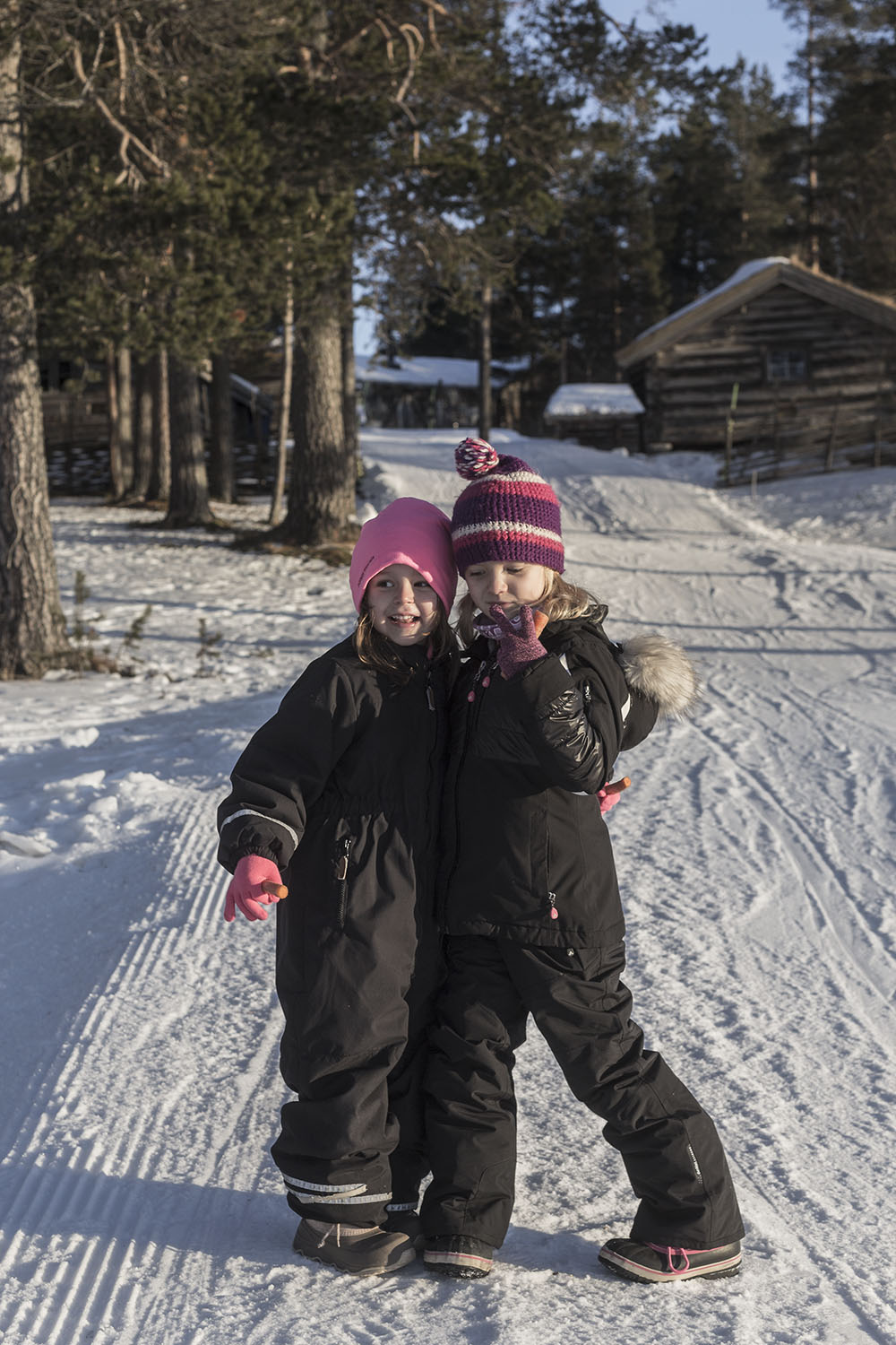 strenghielm_idre.2.3