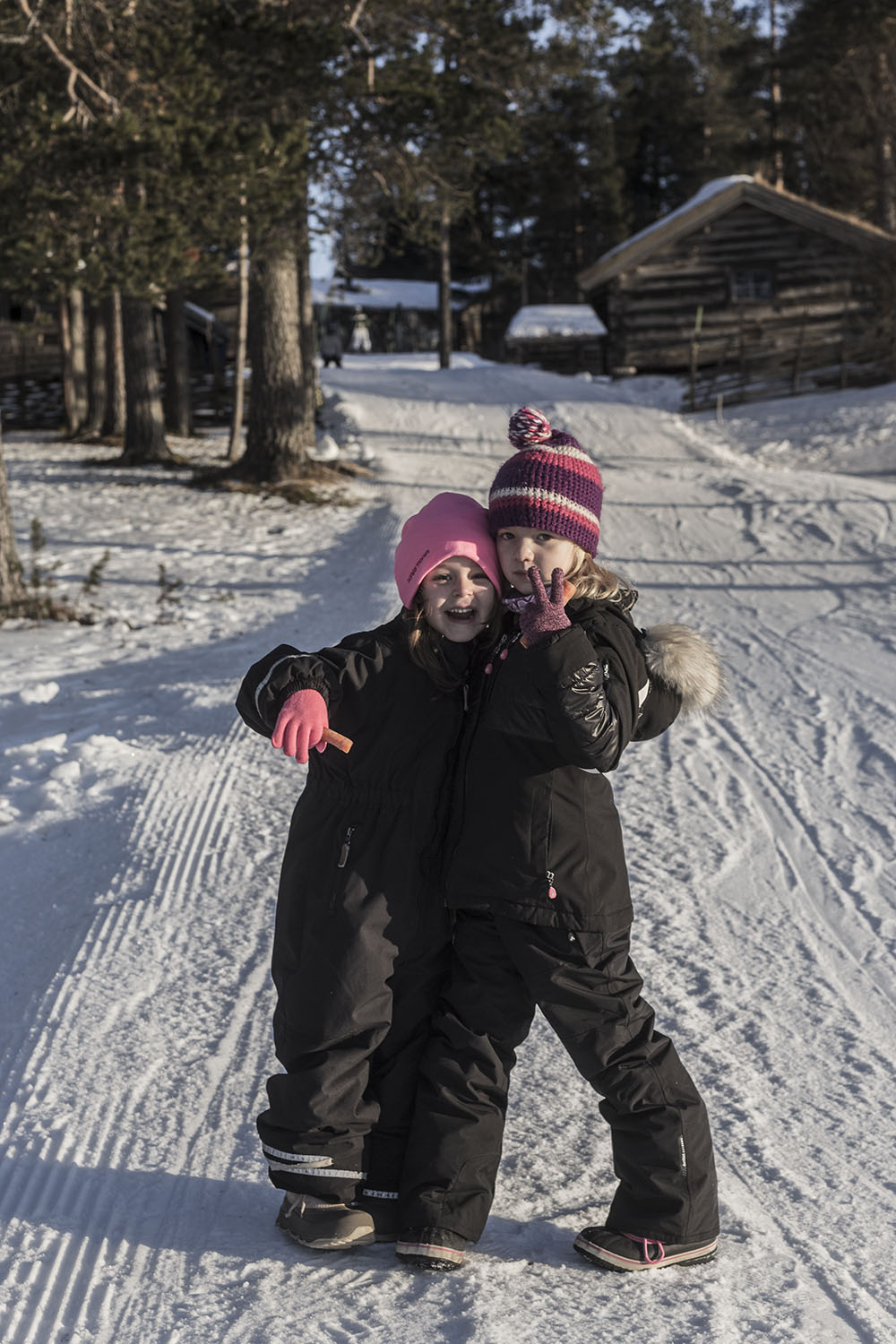 strenghielm_idre.2.4