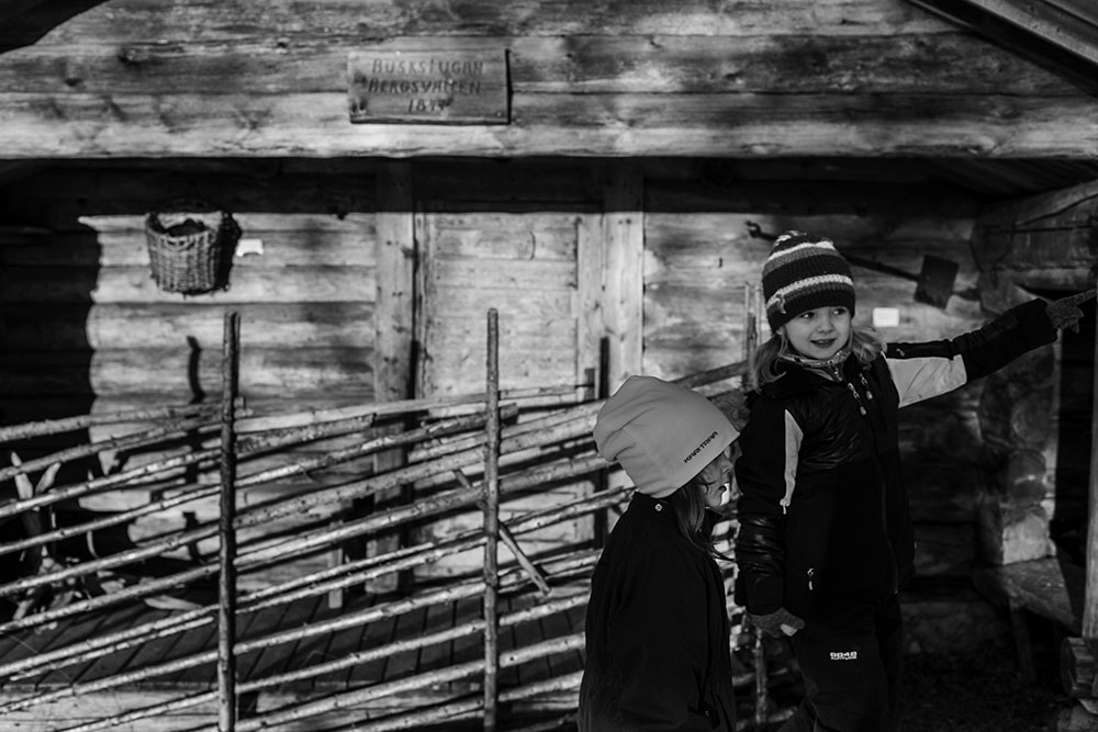 strenghielm_idre.2.6