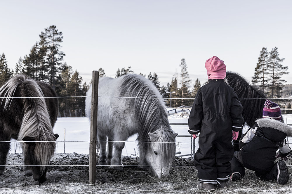 strenghielm_idre.2.9