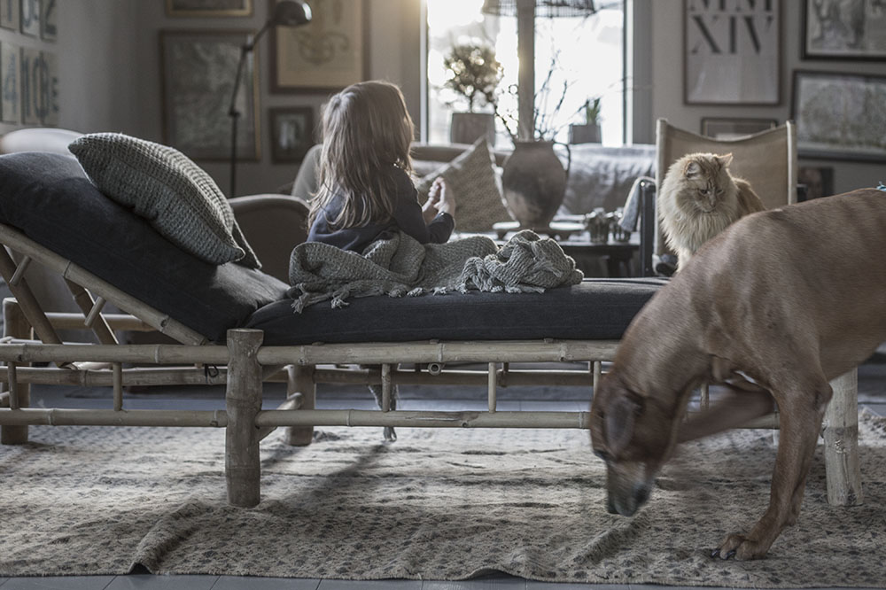 strenghielm_daybed_blackballoon.5