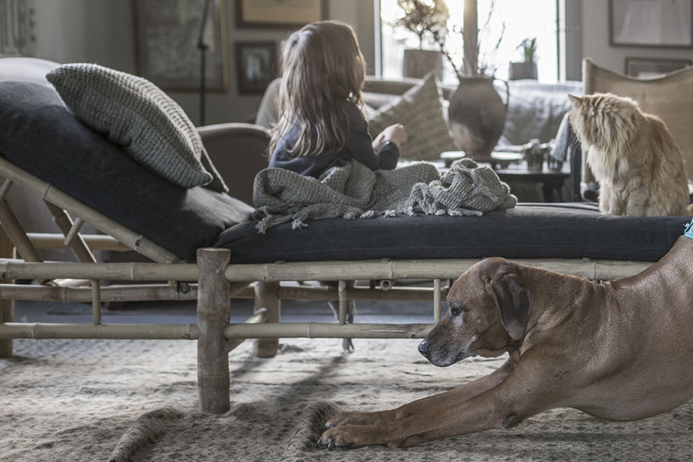 strenghielm_daybed_blackballoon.6