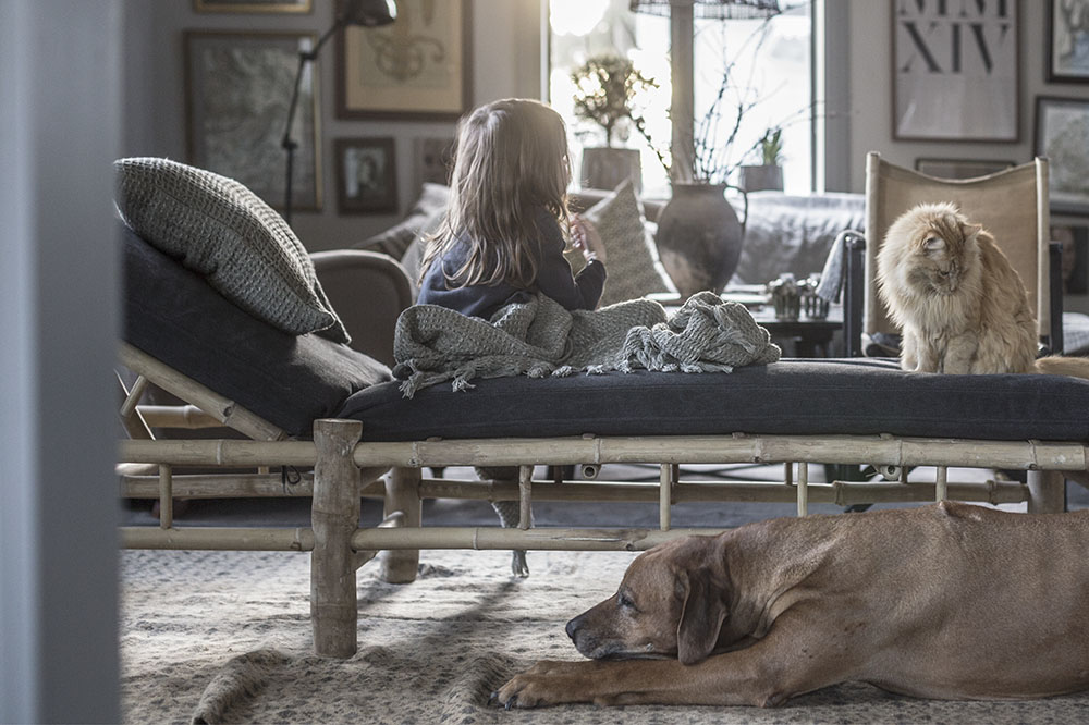 strenghielm_daybed_blackballoon.7