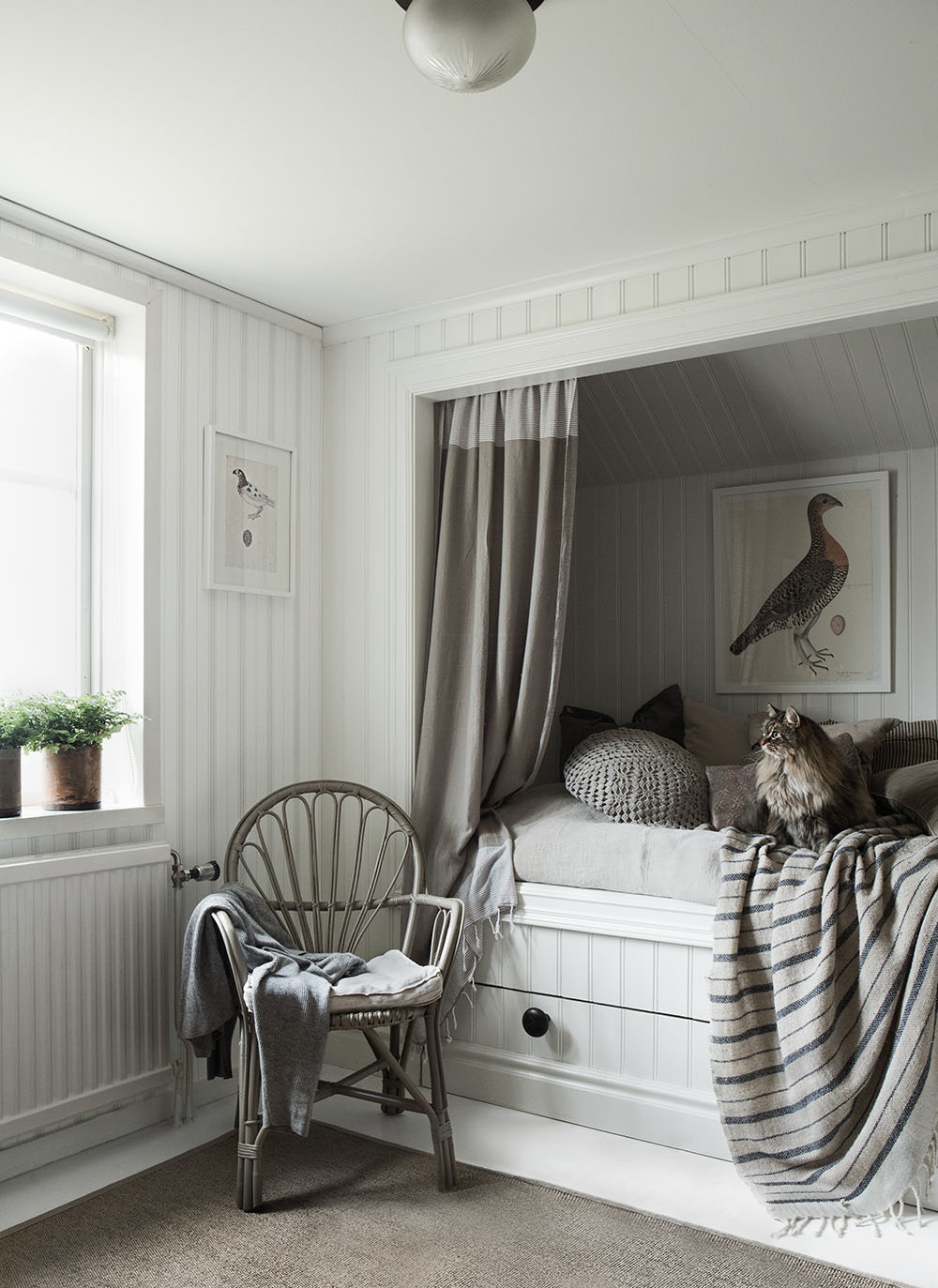 strenghielm_sandbergs_nils