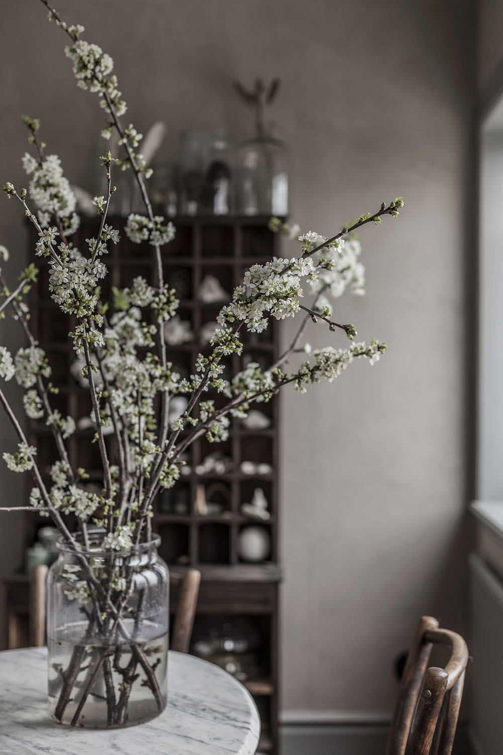 strenghielm_cherryblossom.2