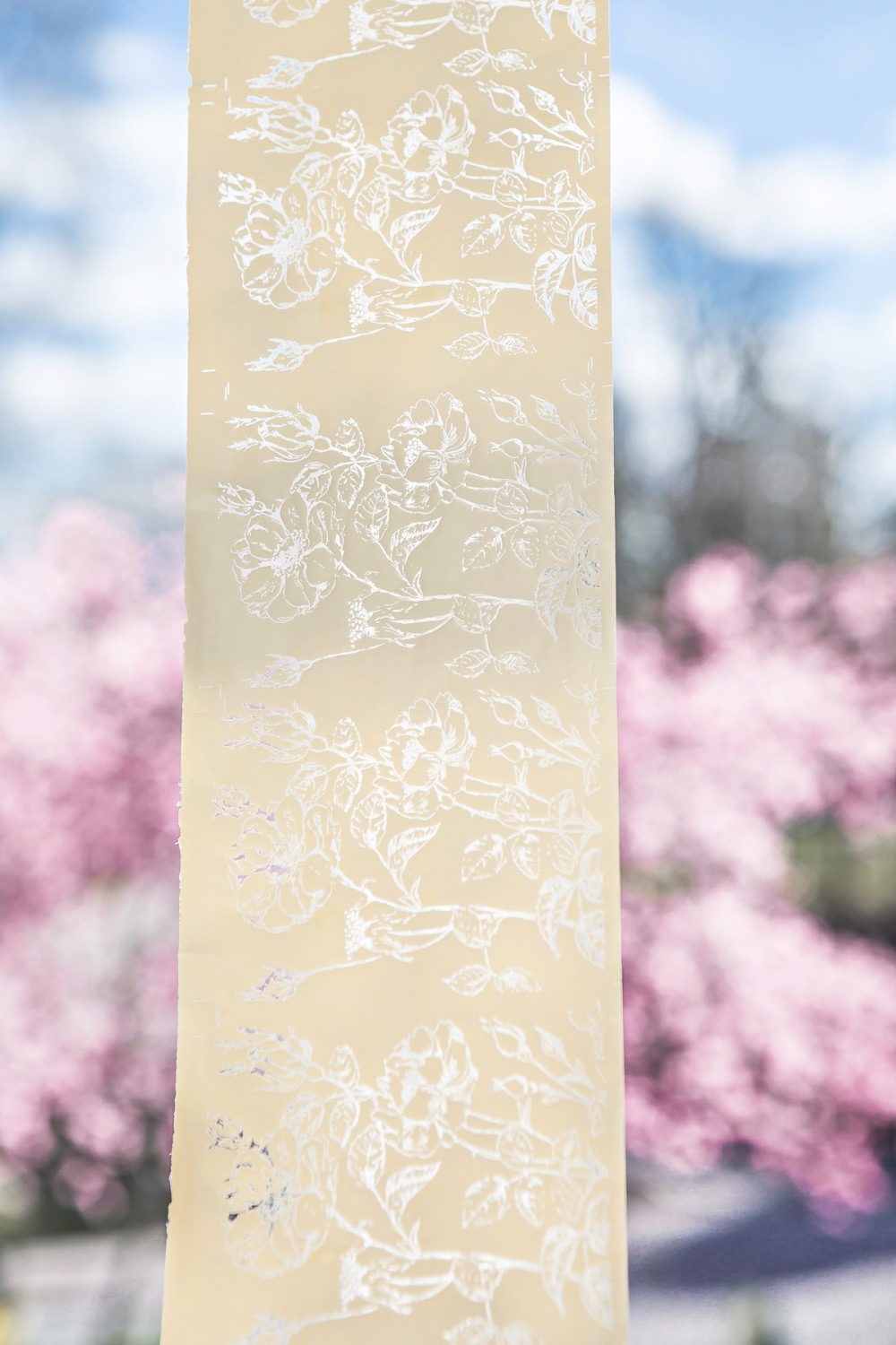 20150423-MX8A38291200