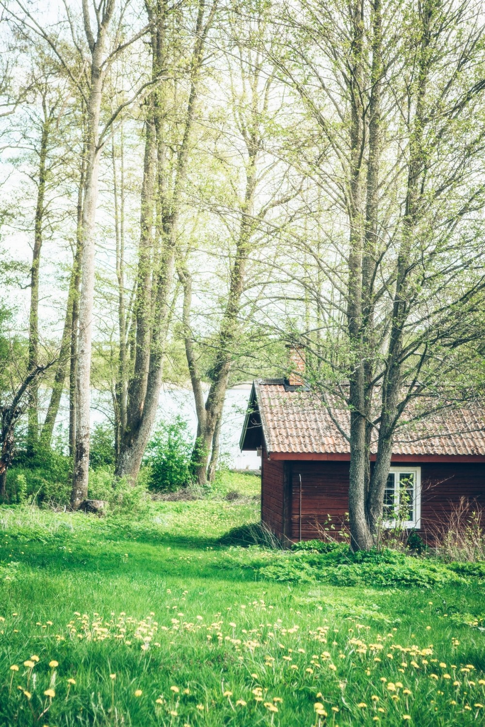 20150514-MX8A6033-21200nyareny