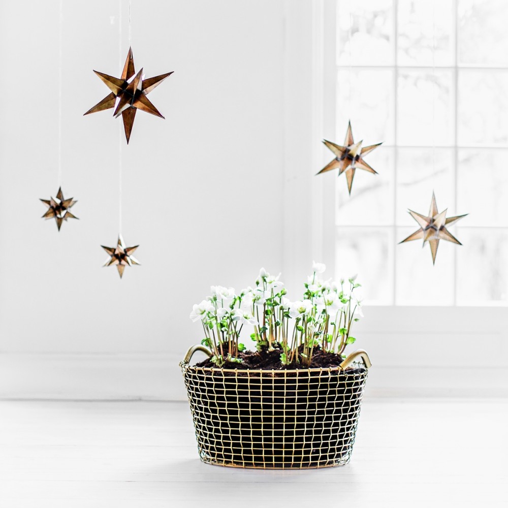 i love korbo 1 20151209-MX8A6989-2-1200