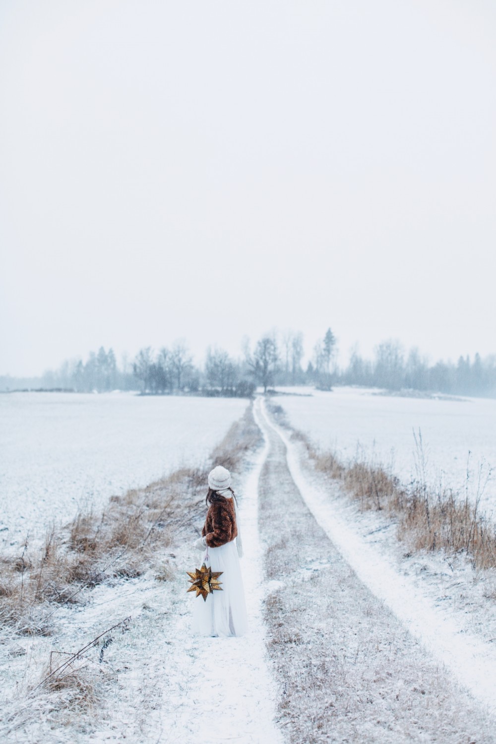 20151227-MX8A8960-4-1200