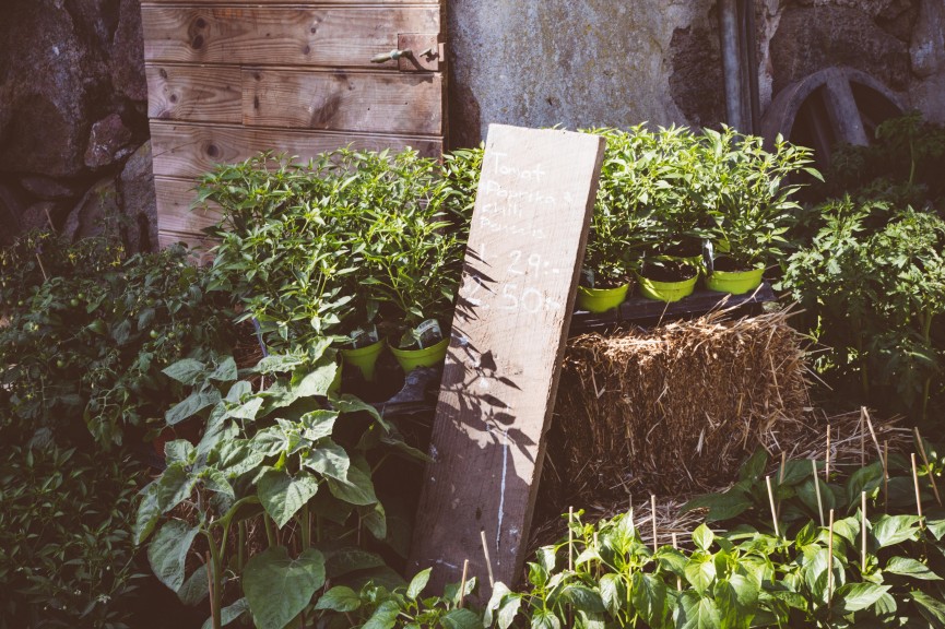 stromma farmlodge-2187