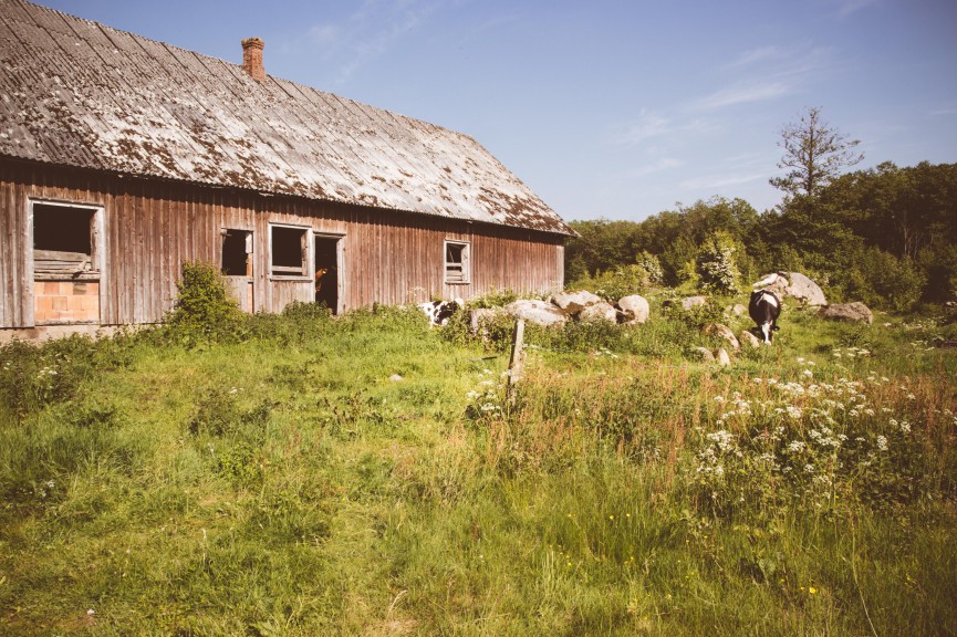 stromma farmlodge-2202