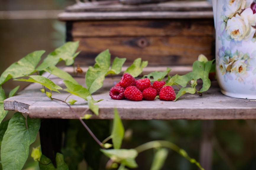 gardenhouse_flowers_krickelin-7360